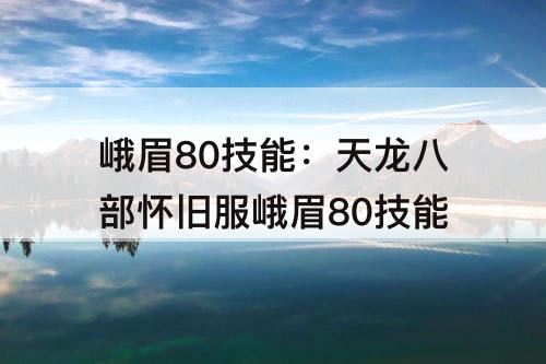 峨眉80技能：天龙八部怀旧服峨眉80技能