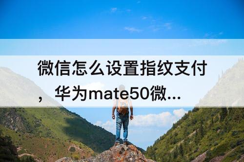 微信怎么设置指纹支付，华为mate50微信怎么设置指纹支付