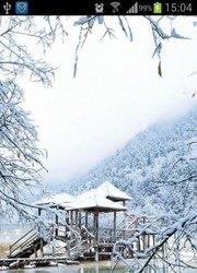 恬静雪景动态壁纸  v1.0图3