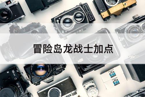 冒险岛龙战士加点