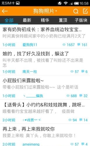 长沙狗狗论坛
