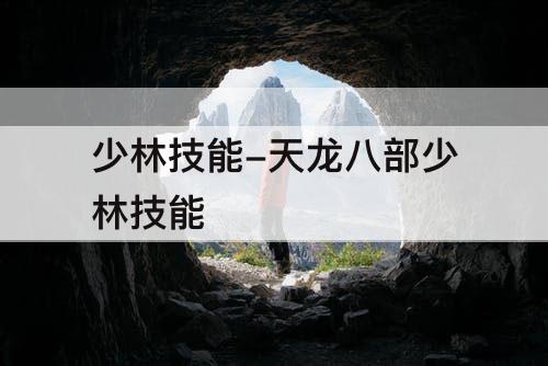 少林技能-天龙八部少林技能