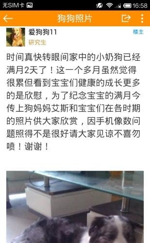 长沙狗狗论坛  v1.0.30图3