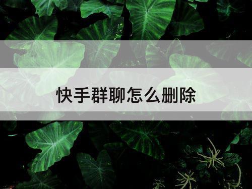 快手群聊怎么删除