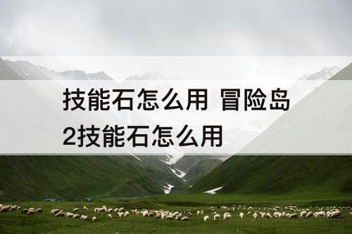 技能石怎么用 冒险岛2技能石怎么用