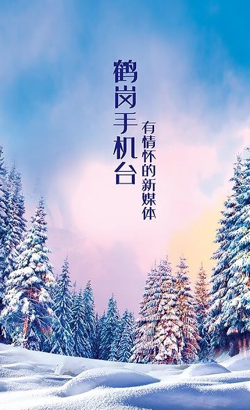 智慧鹤岗手机台  v2.3.1图3