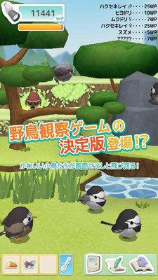 小鸟观察器  v2.4.1图3