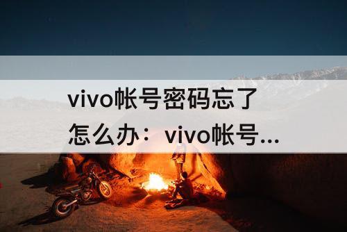 vivo帐号密码忘了怎么办：vivo帐号密码忘了怎么办 百度经验