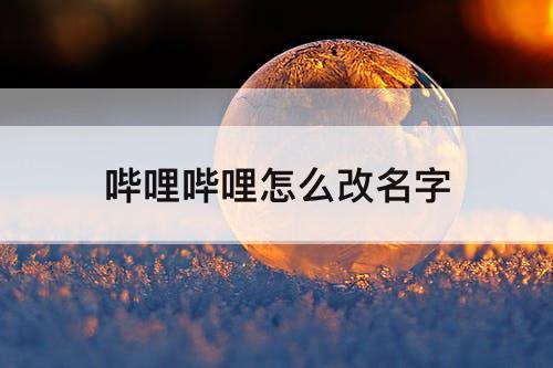 哔哩哔哩怎么改名字