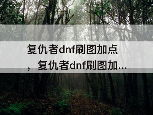 复仇者dnf刷图加点，复仇者dnf刷图加点100