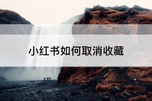 小红书如何取消收藏