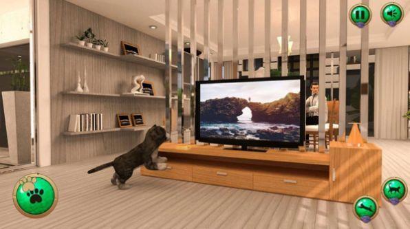 非常宠物猫模拟器  v1.0.0图1