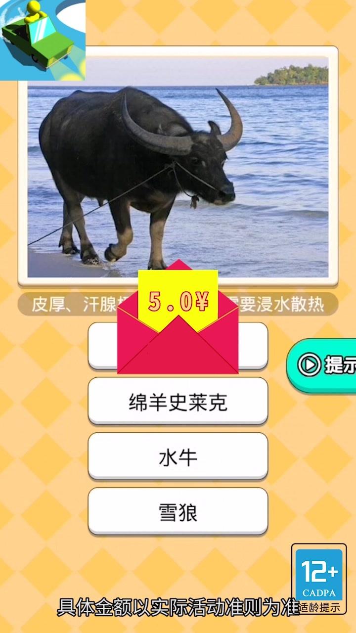 恐龙小车场  v1.0.0图1