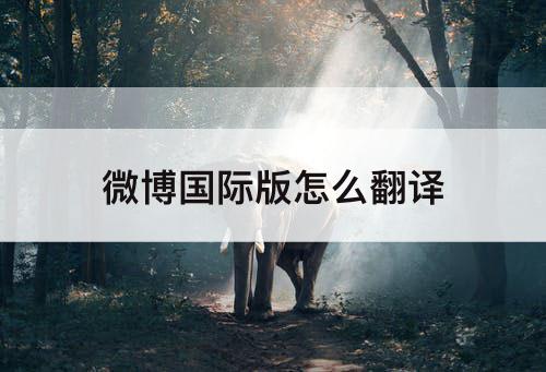微博国际版怎么翻译