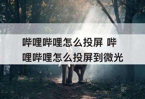 哔哩哔哩怎么投屏 哔哩哔哩怎么投屏到微光