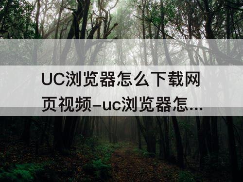 UC浏览器怎么下载网页视频-uc浏览器怎么下载网页视频苹果手机