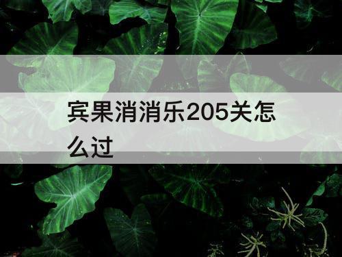 宾果消消乐205关怎么过
