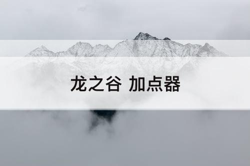 龙之谷 加点器