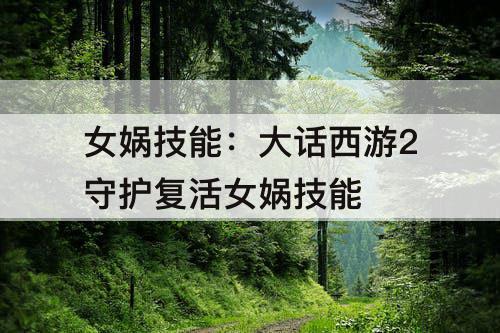 女娲技能：大话西游2守护复活女娲技能