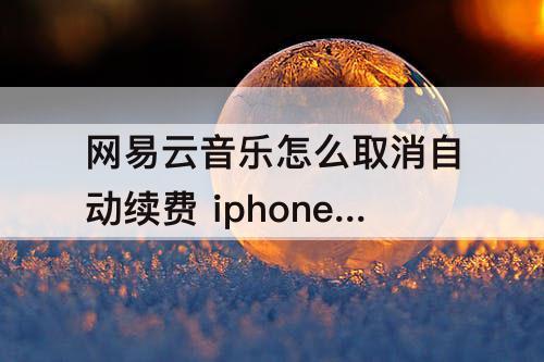 网易云音乐怎么取消自动续费 iphone网易云音乐怎么取消自动续费