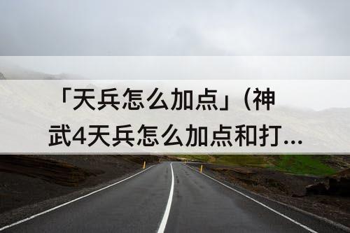 「天兵怎么加点」(神武4天兵怎么加点和打书)