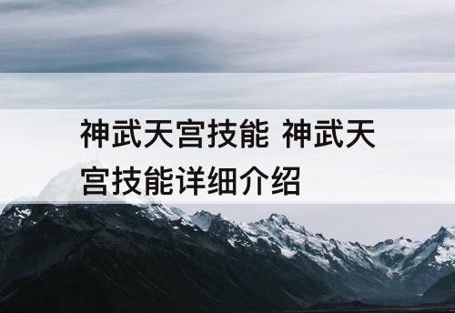 神武天宫技能 神武天宫技能详细介绍