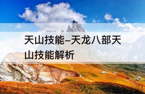 天山技能-天龙八部天山技能解析