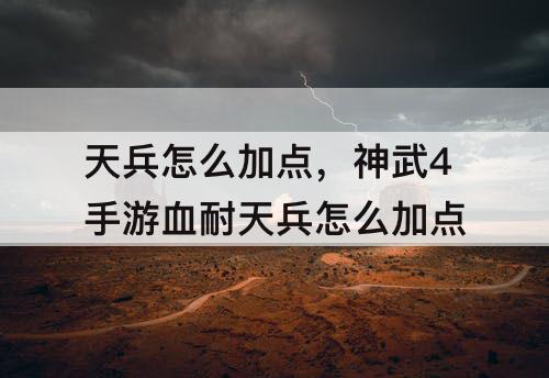 天兵怎么加点，神武4手游血耐天兵怎么加点