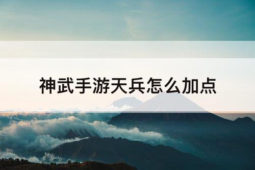 神武手游天兵怎么加点