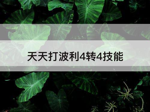 天天打波利4转4技能