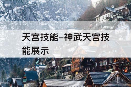 天宫技能-神武天宫技能展示