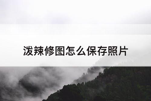 泼辣修图怎么保存照片