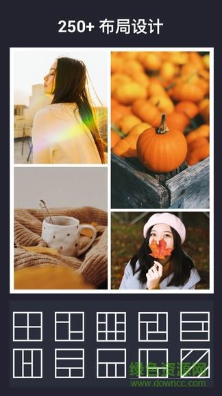 incollage  v1.262.87图2