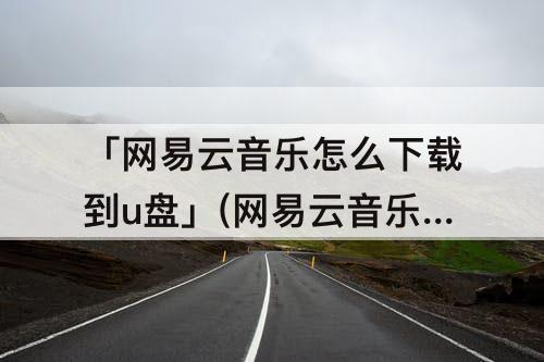 「网易云音乐怎么下载到u盘」(网易云音乐怎么下载到U盘为什么听不了)