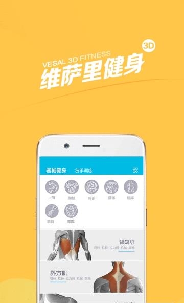 维萨里健身