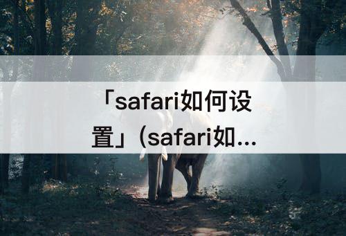 「safari如何设置」(safari如何设置主页为百度)