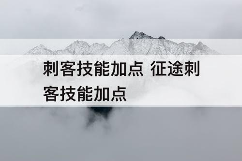 刺客技能加点 征途刺客技能加点