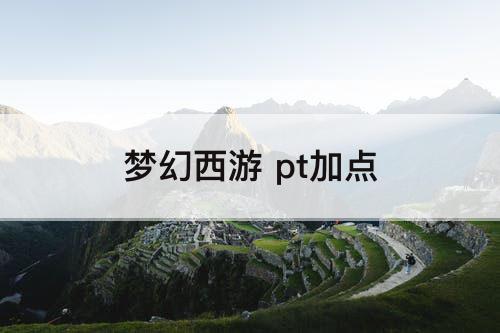 梦幻西游 pt加点