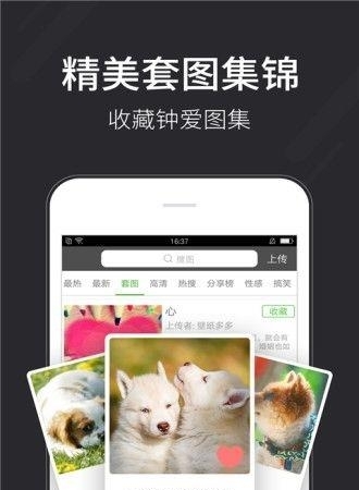 美丽壁纸