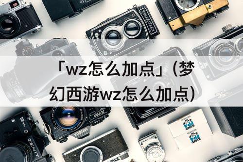 「wz怎么加点」(梦幻西游wz怎么加点)