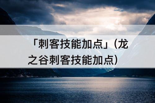 「刺客技能加点」(龙之谷刺客技能加点)