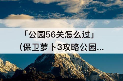 「公园56关怎么过」(保卫萝卜3攻略公园56关怎么过)