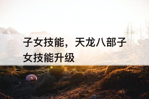 子女技能，天龙八部子女技能升级