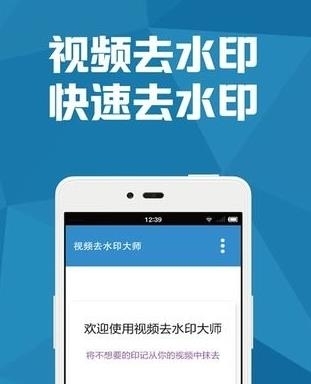 视频去水印大师