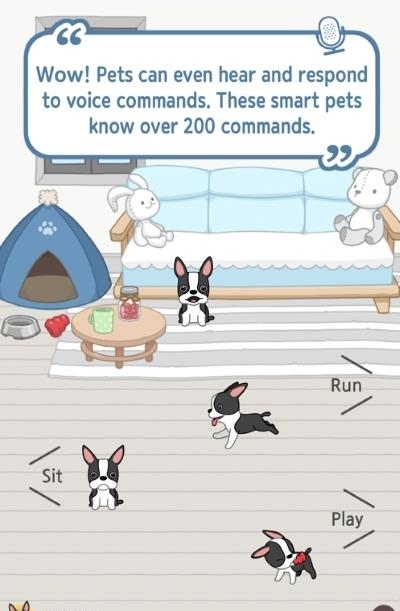 Hellopet  v3.5.6图1