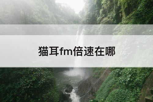 猫耳fm倍速在哪