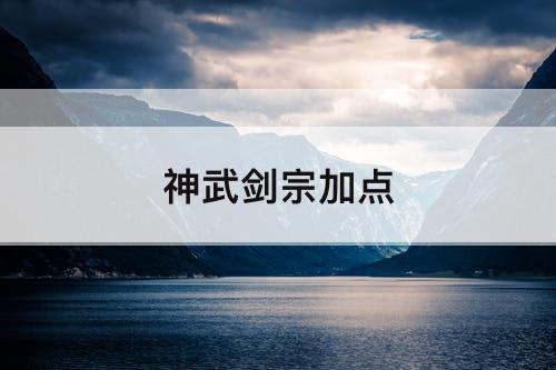 神武剑宗加点