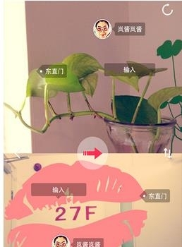 合体