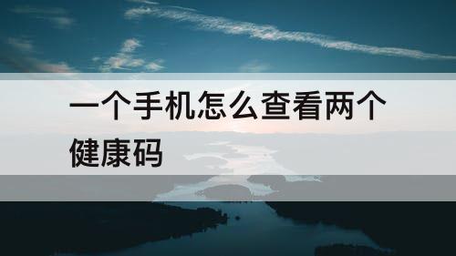 一个手机怎么查看两个健康码