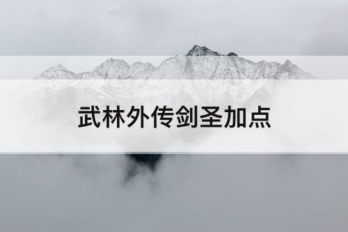 武林外传剑圣加点
